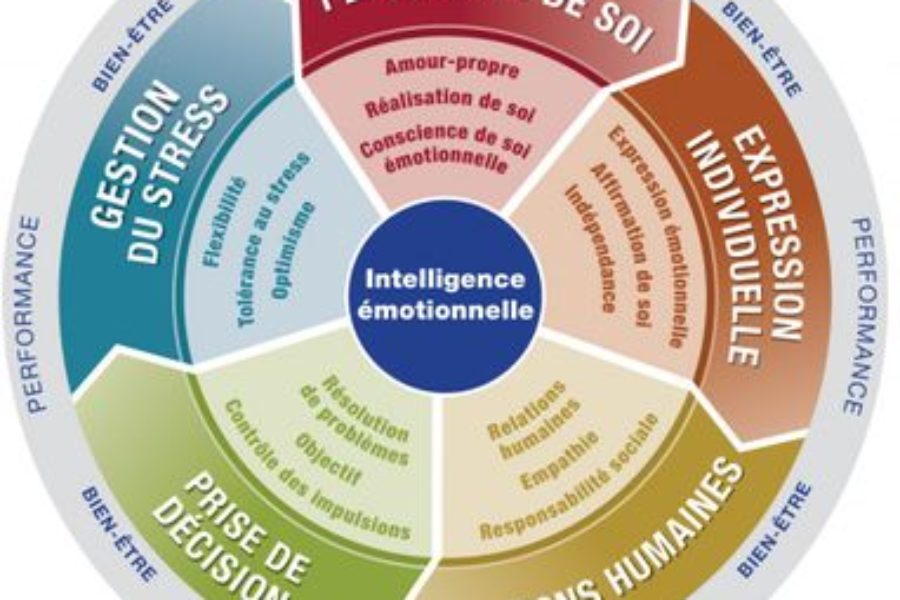 L’INTELLIGENCE ÉMOTIONNELLE AU SERVICE D’UN LEADERSHIP ÉCLAIRÉ